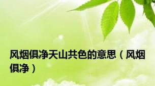 风烟俱净天山共色的意思（风烟俱净）