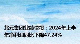 北元集团业绩快报：2024年上半年净利润同比下降47.24%