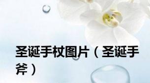 圣诞手杖图片（圣诞手斧）