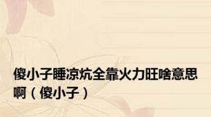 傻小子睡凉炕全靠火力旺啥意思啊（傻小子）
