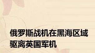 俄罗斯战机在黑海区域驱离英国军机