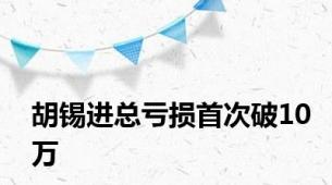 胡锡进总亏损首次破10万