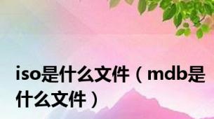 iso是什么文件（mdb是什么文件）
