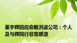 董宇辉回应俞敏洪送公司：个人及与辉同行非常感激