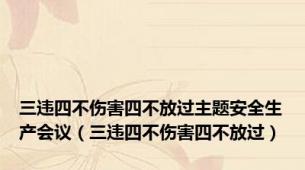 三违四不伤害四不放过主题安全生产会议（三违四不伤害四不放过）