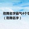 劲舞名字霸气4个字大全（劲舞名字）