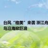 台风“格美”来袭 浙江舟山东极岛沿海掀巨浪