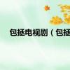 包拯电视剧（包拯）
