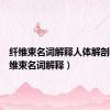 纤维束名词解释人体解剖学（纤维束名词解释）