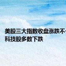 美股三大指数收盘涨跌不一 大型科技股多数下跌