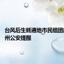 台风后生蚝遍地市民组团赶海 泉州公安提醒