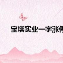 宝塔实业一字涨停