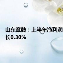 山东章鼓：上半年净利润同比增长0.30%