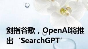剑指谷歌，OpenAI将推出‘SearchGPT’