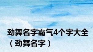 劲舞名字霸气4个字大全（劲舞名字）