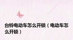 台铃电动车怎么开锁（电动车怎么开锁）