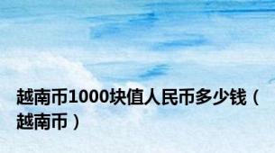越南币1000块值人民币多少钱（越南币）