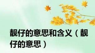 靓仔的意思和含义（靓仔的意思）
