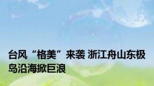 台风“格美”来袭 浙江舟山东极岛沿海掀巨浪