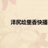 泽尻绘里香快播