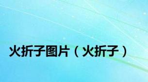 火折子图片（火折子）