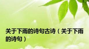 关于下雨的诗句古诗（关于下雨的诗句）