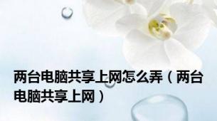 两台电脑共享上网怎么弄（两台电脑共享上网）