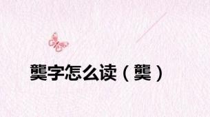 龑字怎么读（龑）