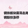 钢铁板块震荡走高，沙钢股份涨停
