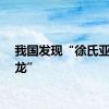 我国发现“徐氏亚洲暴龙”