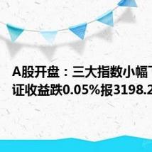 A股开盘：三大指数小幅下跌 上证收益跌0.05%报3198.29点