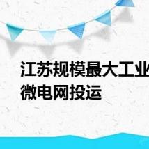 江苏规模最大工业园区微电网投运