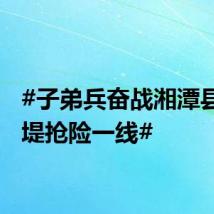 #子弟兵奋战湘潭县四新堤抢险一线#