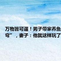 万物皆可遛!男子带家养鱼出“遛弯”,妻子:他就这样玩了一下午