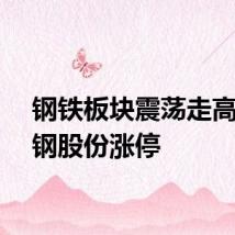 钢铁板块震荡走高，沙钢股份涨停
