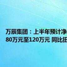 万辰集团：上半年预计净利润为80万元至120万元 同比扭亏
