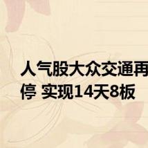 人气股大众交通再度涨停 实现14天8板