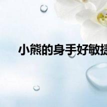 小熊的身手好敏捷