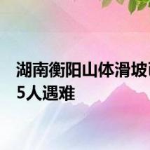 湖南衡阳山体滑坡已致15人遇难