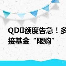 QDII额度告急!多只联接基金“限购”