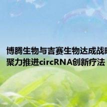 博腾生物与吉赛生物达成战略合作，聚力推进circRNA创新疗法