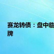 赛龙转债：盘中临时停牌