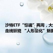 沙特ETF“惊魂”两周，大起大落走线妖娆 “人形量化”魅影重重