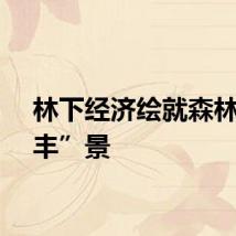 林下经济绘就森林新“丰”景