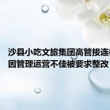 沙县小吃文旅集团高管接连被查 曾因管理运营不佳被要求整改