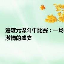楚雄元谋斗牛比赛：一场力量与激情的盛宴