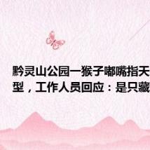 黔灵山公园一猴子嘟嘴指天爱凹造型，工作人员回应：是只藏酋猴