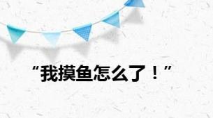 “我摸鱼怎么了！”