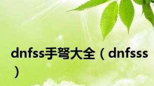 dnfss手弩大全（dnfsss）