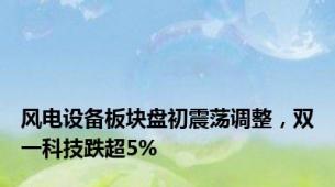 风电设备板块盘初震荡调整，双一科技跌超5%